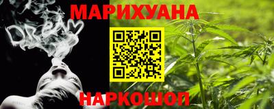 трава Гатчина